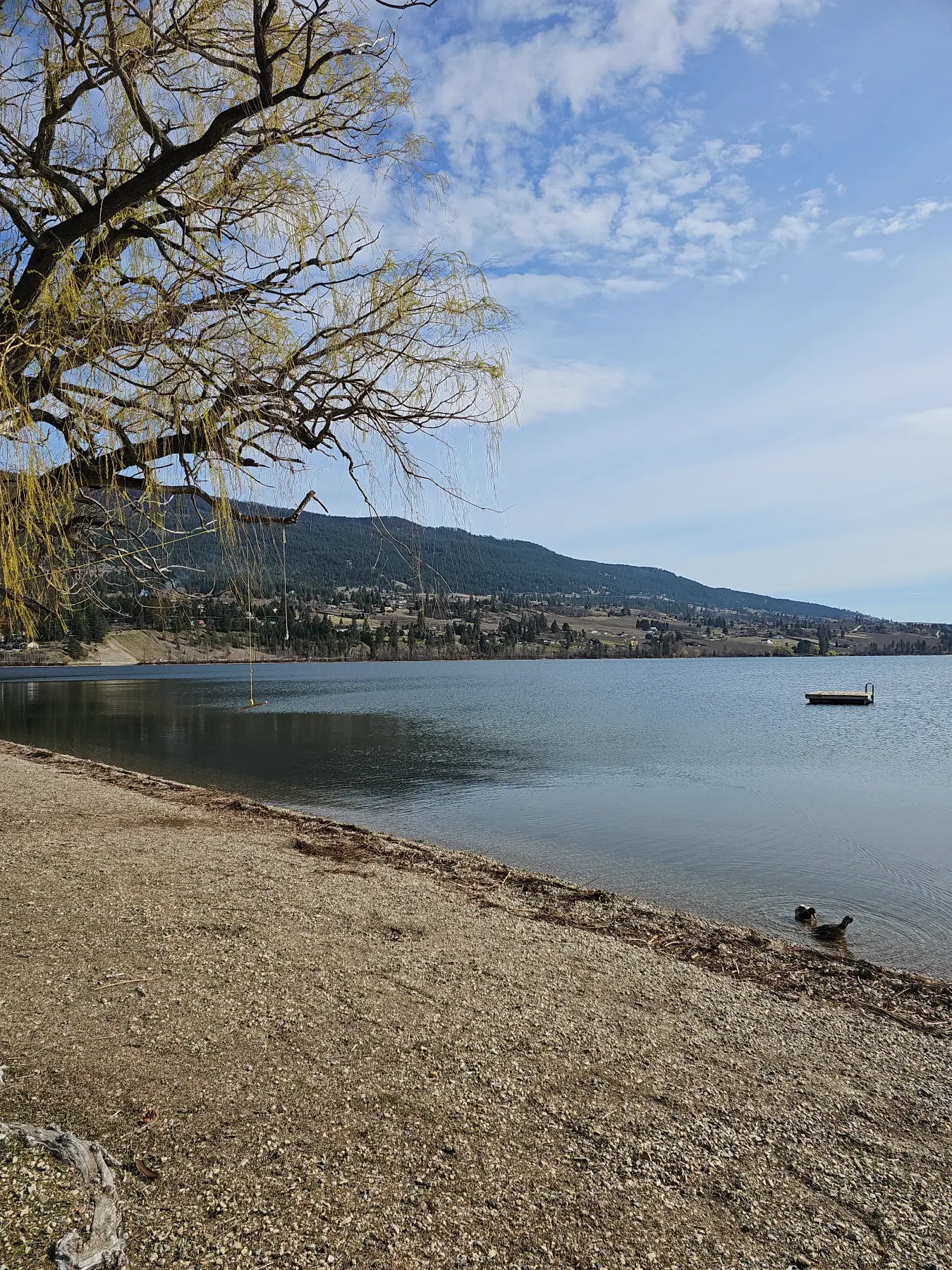 Calm morning water on Kalamalka Lake